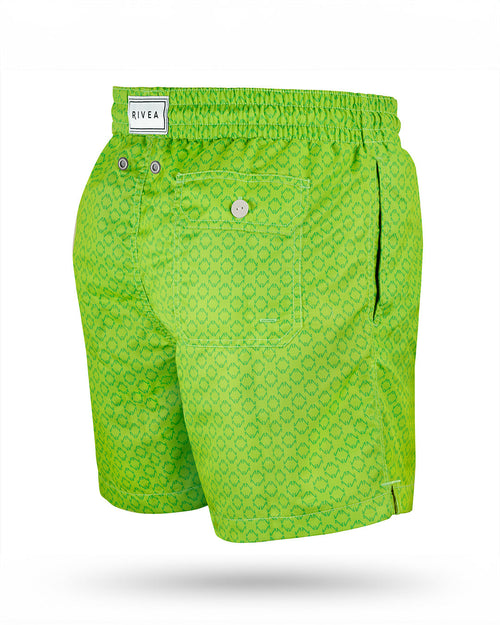 NORQAIN Swim short Gecko